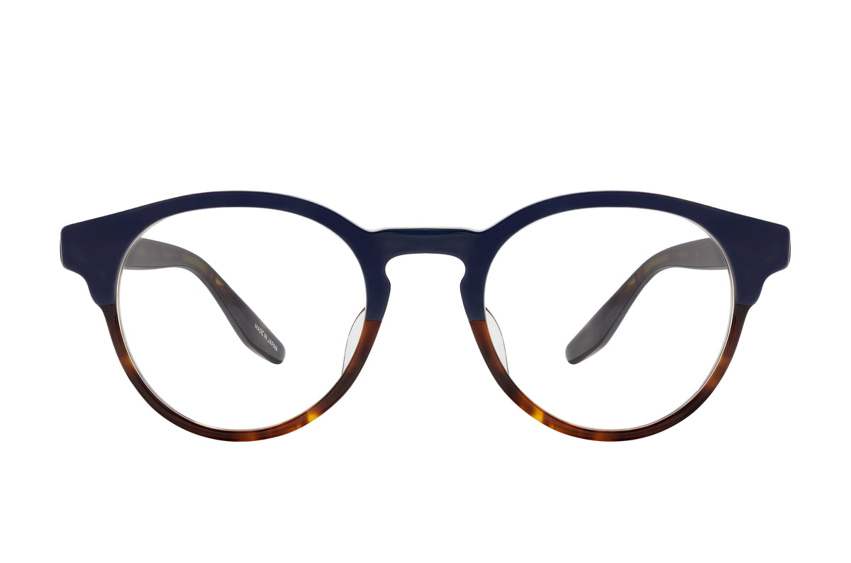 #color_Indigo Tortoise