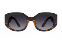 #color_Black Amber Tortoise / Nightfall Polarized (AR)