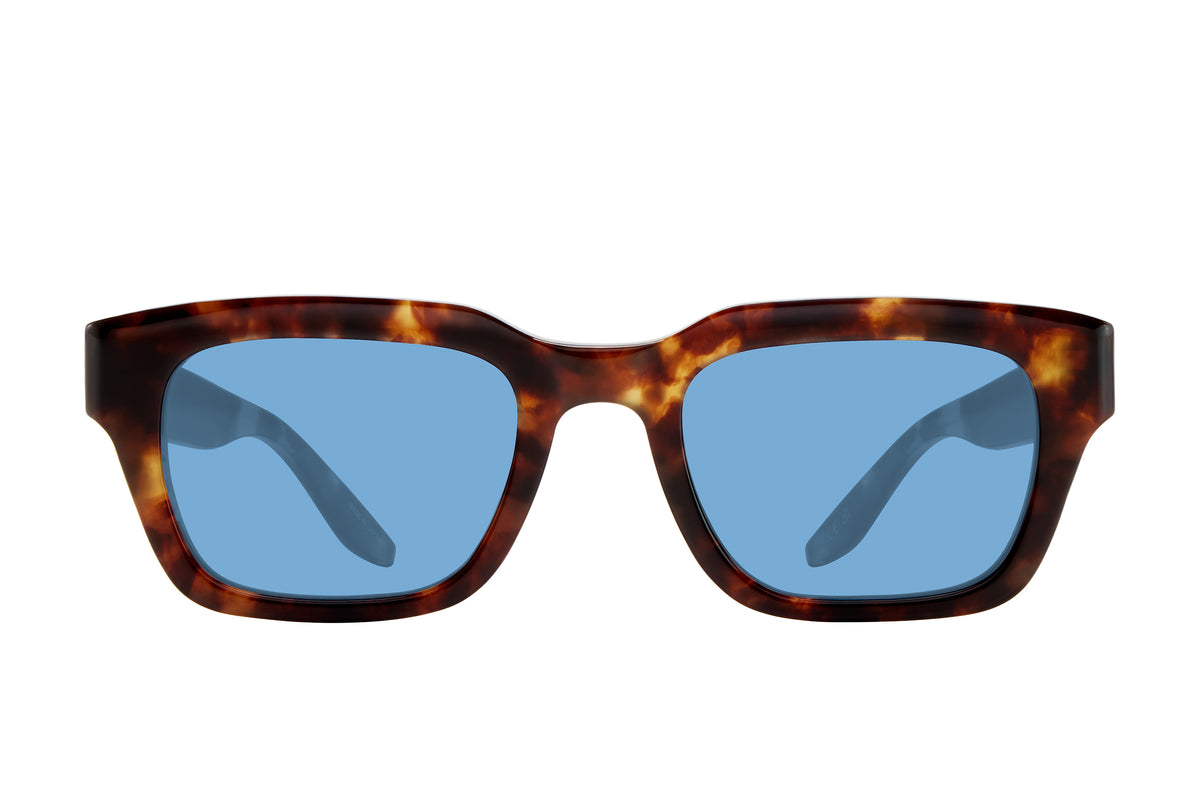 #color_Chestnut / Eleos (AR)