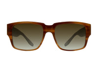 #color_Umber Tortoise / Olive Gradient (AR)