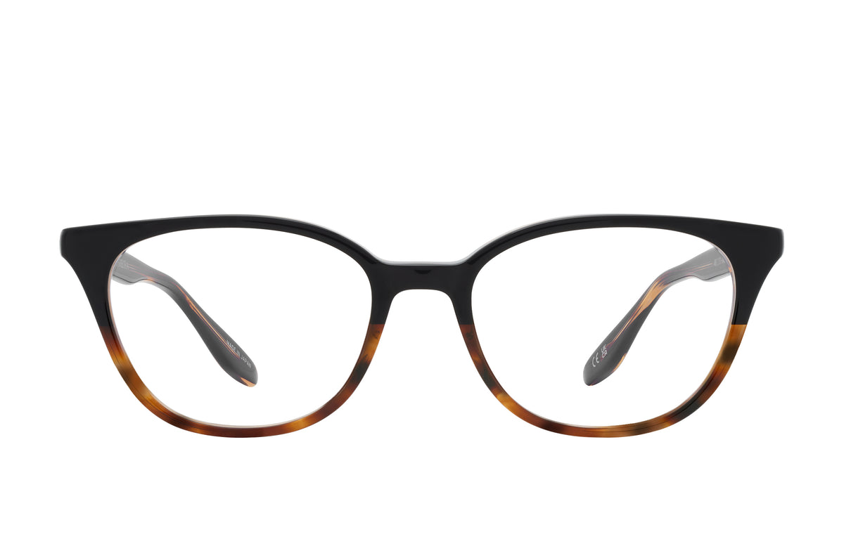 #color_Raven Tortoise Gradient