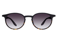 #color_Black Tortoise Gradient / Smolder (AR)