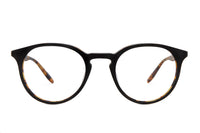 #color_Black Amber Tortoise